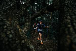 BIB: 
                            <button type="button" onclick="openModal(25688135)" class="btn btn-primary btn-sm float-right btn-popup" data-toggle="modal" data-target=".modal-high-quality">
                        <i class="fas fa-shopping-cart"></i> Add to Cart
                    </button>
                                            <button type="button" onclick="isThisMe(25688135, true)" class="btn btn-success btn-sm float-right btn-popup btn-isme hidden" data-toggle="tooltip" data-placement="bottom" title="นี่คือรูปของคุณใช่ไหม คลิกที่นี่เพื่อเอาเข้าอัลบั้ม">
                        <i class="fas fa-plus"></i> Add to album
                    </button>
                    <button type="button" onclick="isThisMe(25688135, false)" class="btn btn-warning btn-sm float-right btn-popup btn-isnotme hidden">
                        <i class="fas fa-ban"></i> Remove from album
                    </button>